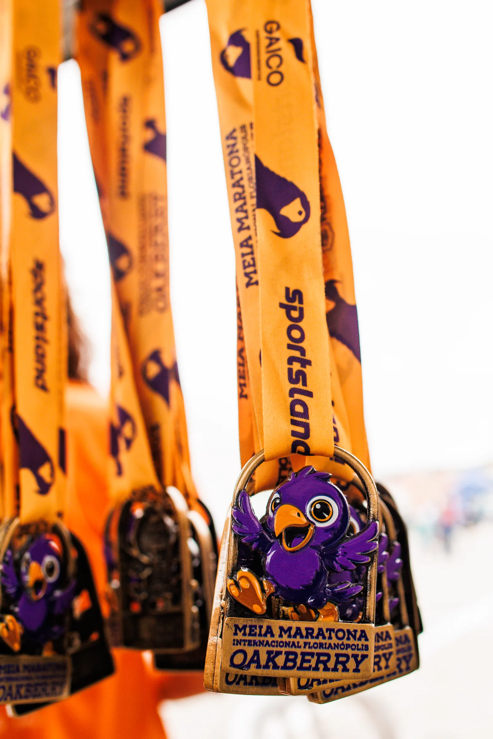 Medalhas da Oakberry Run Kids com a arara, penduradas nas fitas da prova